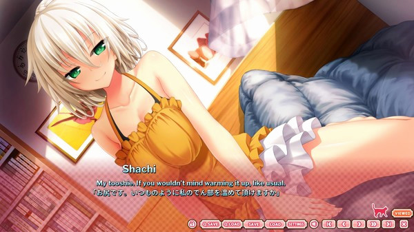 Игра The Princess, the Stray Cat, and Matters of the Heart, скриншот