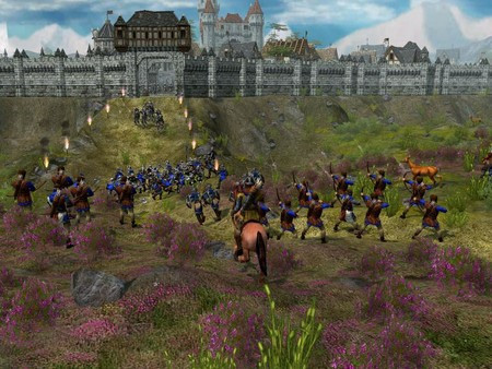 Игра The Settlers : Heritage of Kings - History Edition, скриншот