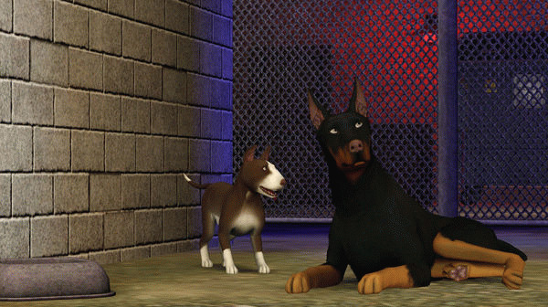 Игра The Sims 3 Pets, скриншот