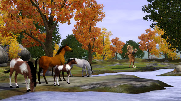 Игра The Sims 3 Pets, скриншот
