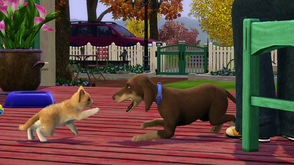 Игра The Sims 3 Pets, скриншот