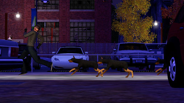 Игра The Sims 3 Pets, скриншот