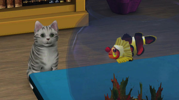 Игра The Sims 3 Pets, скриншот