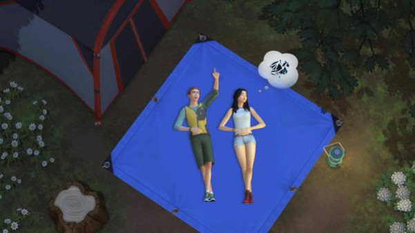 Игра The Sims 4 В поход!, скриншот