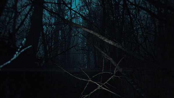 Игра The Strange Lights, скриншот