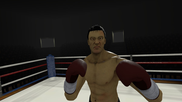 Игра The Thrill of the Fight - VR Boxing, скриншот