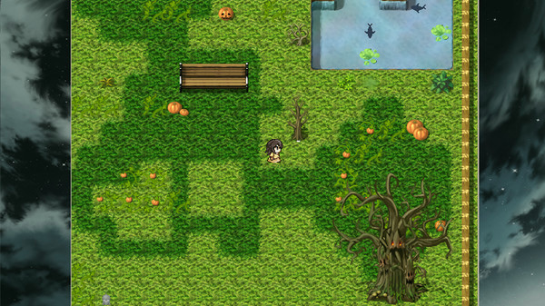 Игра The trial of witch, скриншот