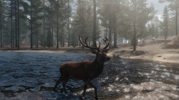 Игра The WILDS, скриншот