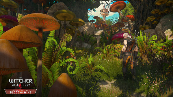 Игра The Witcher 3: Wild Hunt - Expansion Pass, скриншот