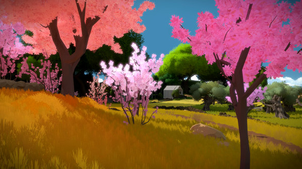 Игра The Witness, скриншот