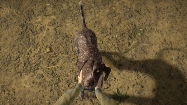 Игра theHunter: Call of the Wild - German Shorthaired Pointer, скриншот