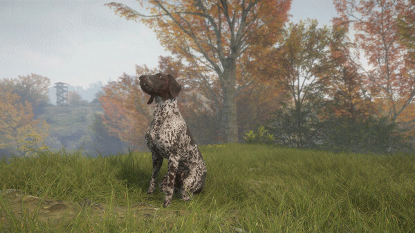 Игра theHunter: Call of the Wild - German Shorthaired Pointer, скриншот