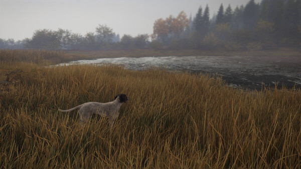 Игра theHunter: Call of the Wild - German Shorthaired Pointer, скриншот