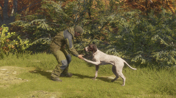 Игра theHunter: Call of the Wild - German Shorthaired Pointer, скриншот
