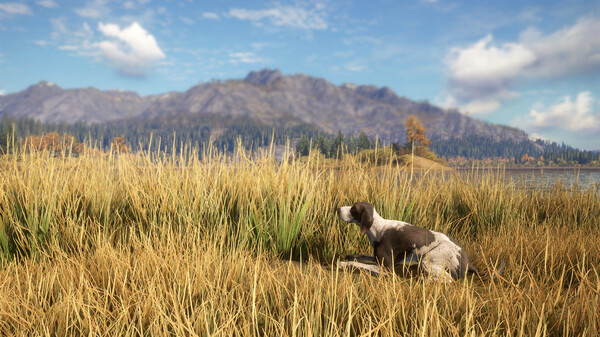 Игра theHunter: Call of the Wild - German Shorthaired Pointer, скриншот