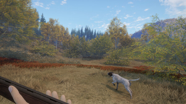 Игра theHunter: Call of the Wild - German Shorthaired Pointer, скриншот