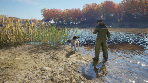 Игра theHunter: Call of the Wild - German Shorthaired Pointer, скриншот