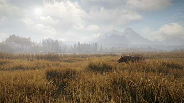 Игра theHunter: Call of the Wild, скриншот
