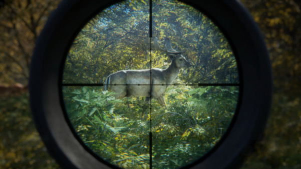 Игра theHunter: Call of the Wild, скриншот