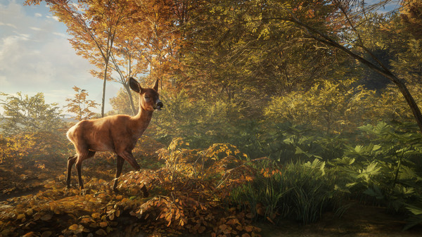 Игра theHunter: Call of the Wild, скриншот