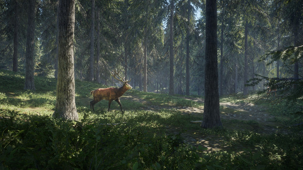 Игра theHunter: Call of the Wild, скриншот
