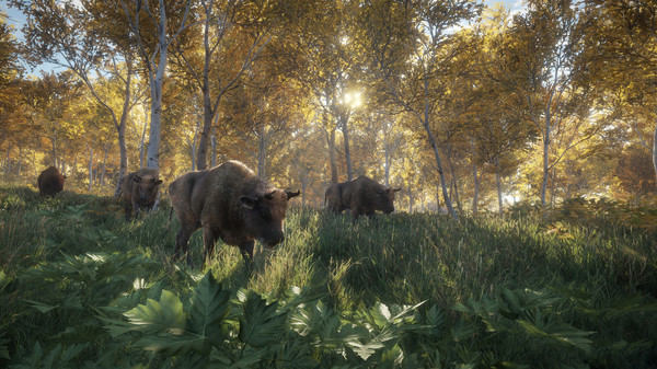 Игра theHunter: Call of the Wild, скриншот