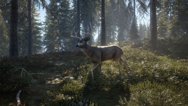 Игра theHunter: Call of the Wild, скриншот