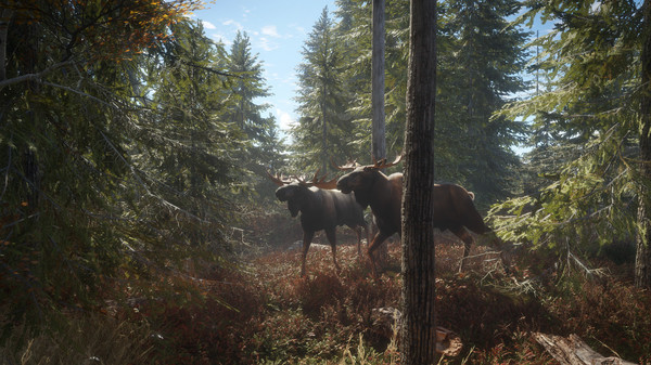 Игра theHunter: Call of the Wild, скриншот