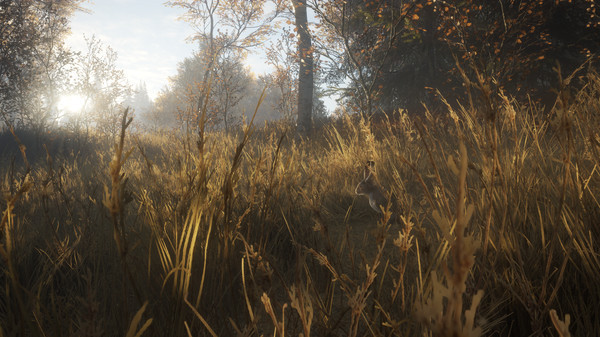 Игра theHunter: Call of the Wild, скриншот