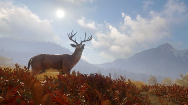 Игра theHunter: Call of the Wild, скриншот