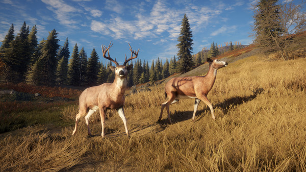Игра theHunter: Call of the Wild, скриншот
