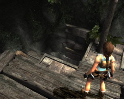 Игра Tomb Raider: Anniversary, скриншот