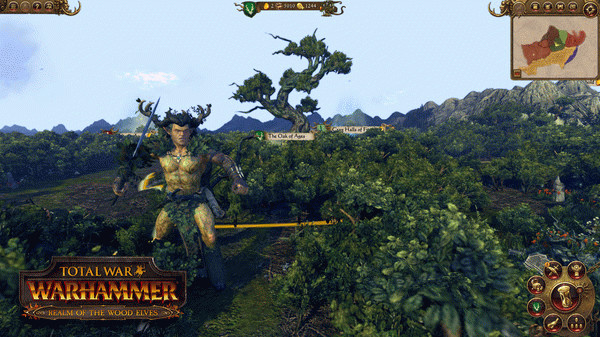 Игра Total War: WARHAMMER - Realm of The Wood Elves, скриншот