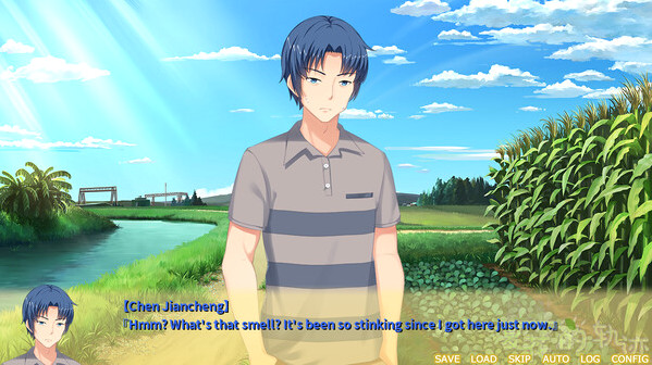 Игра Trajectory of summer flower Ⅱ, скриншот
