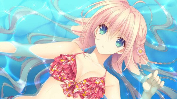 Игра Tsuki ni Yorisou Otome no Sahou 2, скриншот