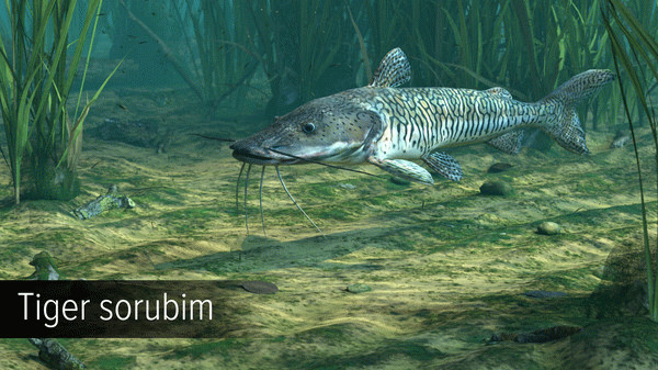 Игра Ultimate Fishing Simulator - Amazon River DLC, скриншот