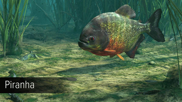 Игра Ultimate Fishing Simulator - Amazon River DLC, скриншот