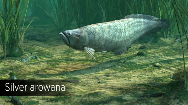Игра Ultimate Fishing Simulator - Amazon River DLC, скриншот