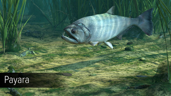 Игра Ultimate Fishing Simulator - Amazon River DLC, скриншот
