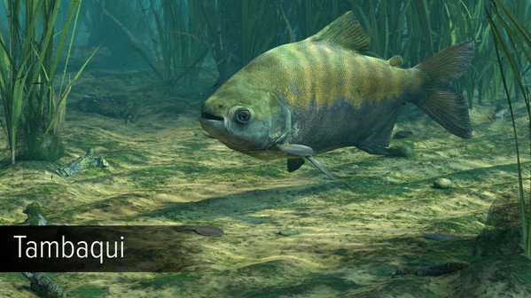 Игра Ultimate Fishing Simulator - Amazon River DLC, скриншот