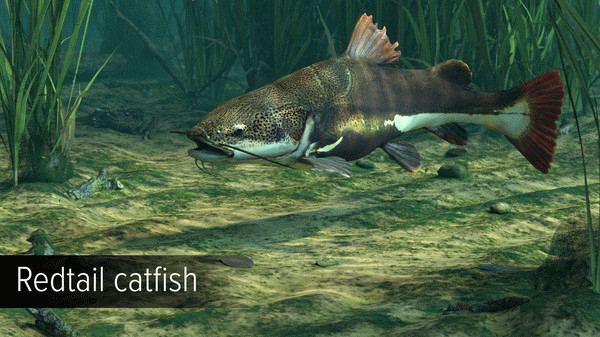 Игра Ultimate Fishing Simulator - Amazon River DLC, скриншот