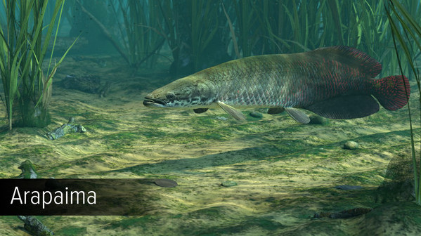 Игра Ultimate Fishing Simulator - Amazon River DLC, скриншот