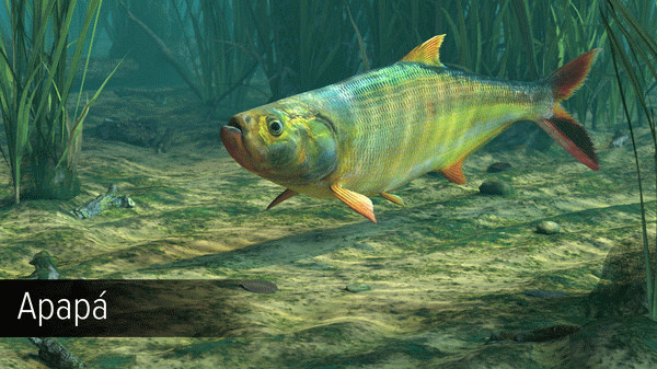 Игра Ultimate Fishing Simulator - Amazon River DLC, скриншот