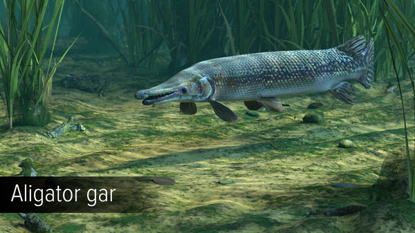 Игра Ultimate Fishing Simulator - Amazon River DLC, скриншот