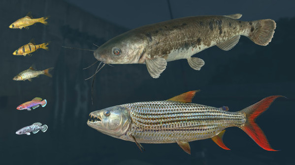 Игра Ultimate Fishing Simulator - Kariba Dam DLC, скриншот