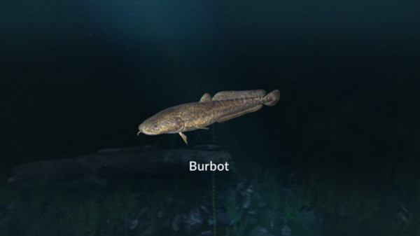 Игра Ultimate Fishing Simulator - New Fish Species, скриншот