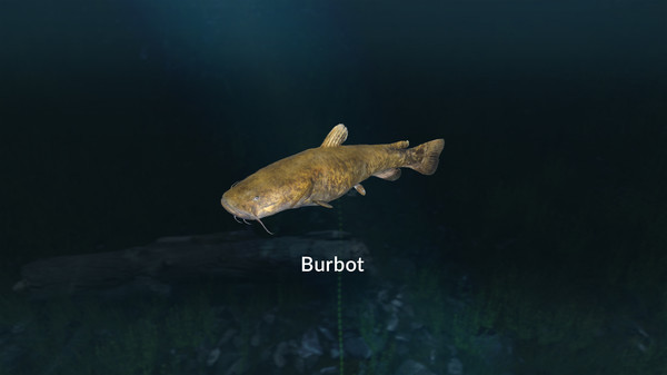 Игра Ultimate Fishing Simulator - New Fish Species, скриншот