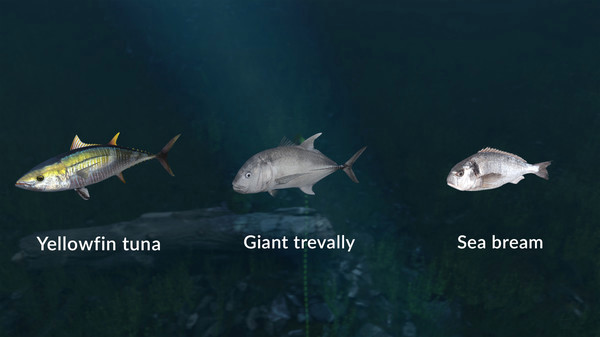 Игра Ultimate Fishing Simulator - New Fish Species, скриншот