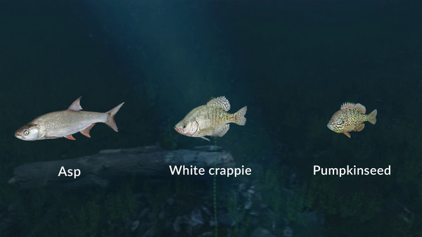 Игра Ultimate Fishing Simulator - New Fish Species, скриншот
