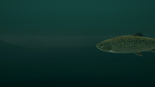 Игра Ultimate Fishing Simulator - Taupo Lake DLC, скриншот
